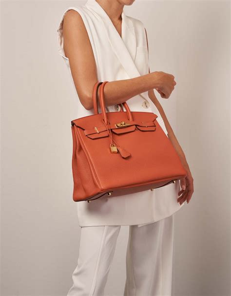 hermes birkin terre battue|Hermes birkins book.